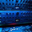 moonbooter-Studio-2025-0024.jpg